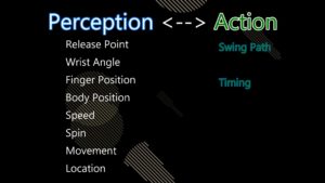 training hitting scientifically